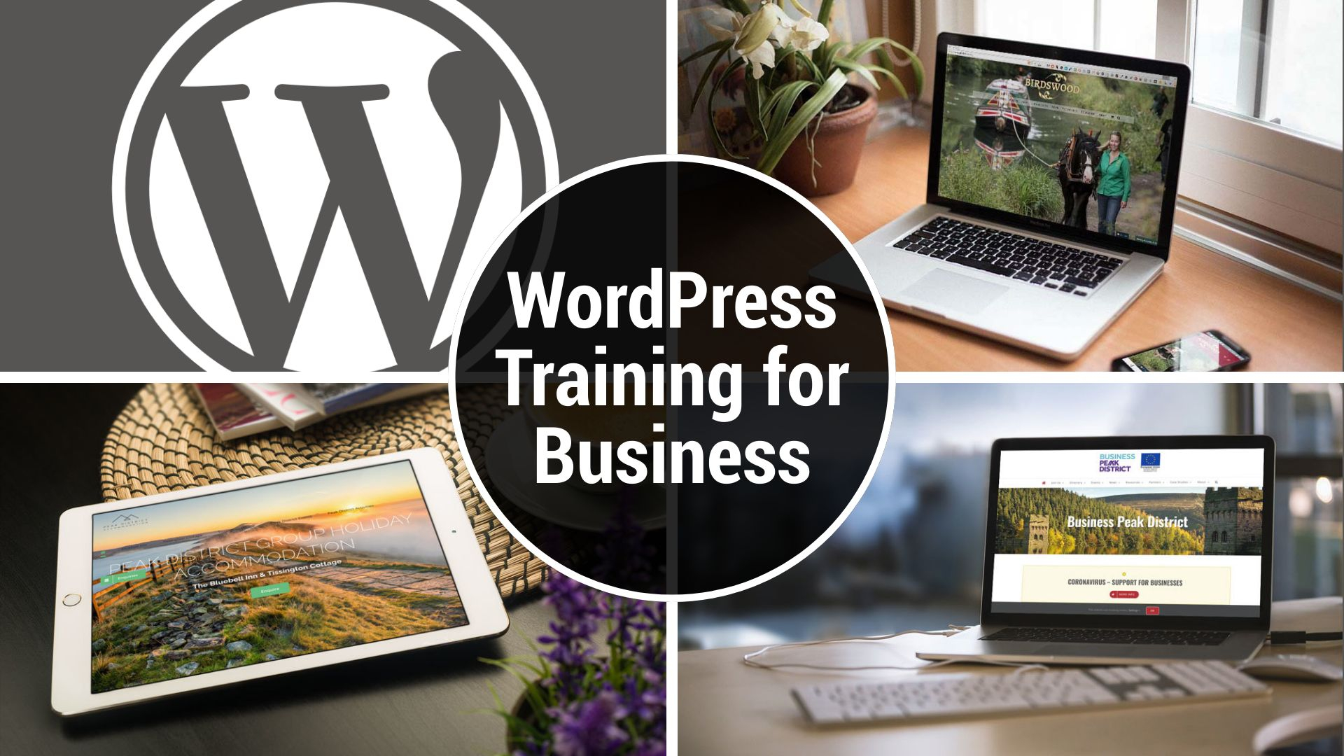 WordPress Training for Business header